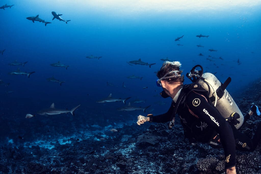 Diving in Rangiroa