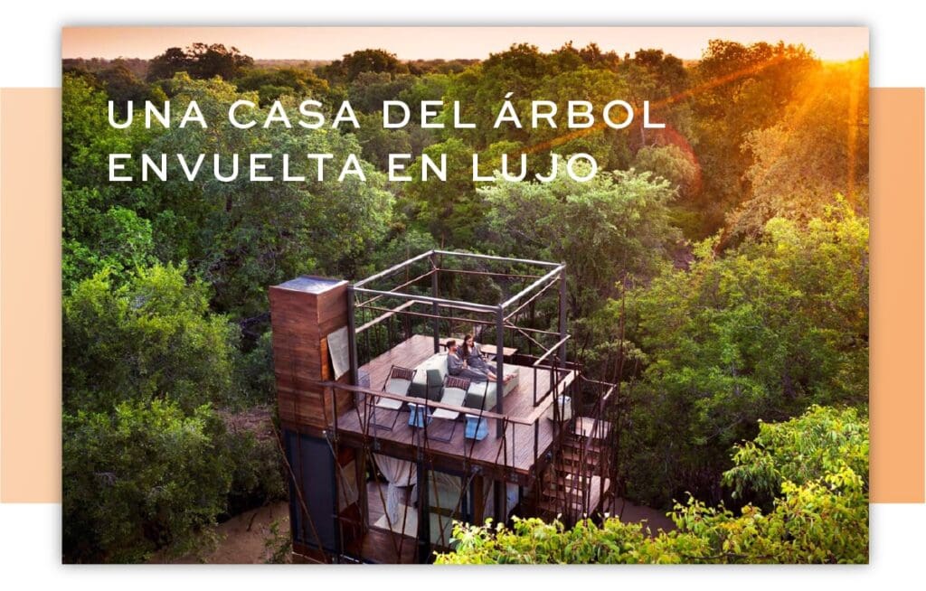 Una casa del árbol envuelta en lujo