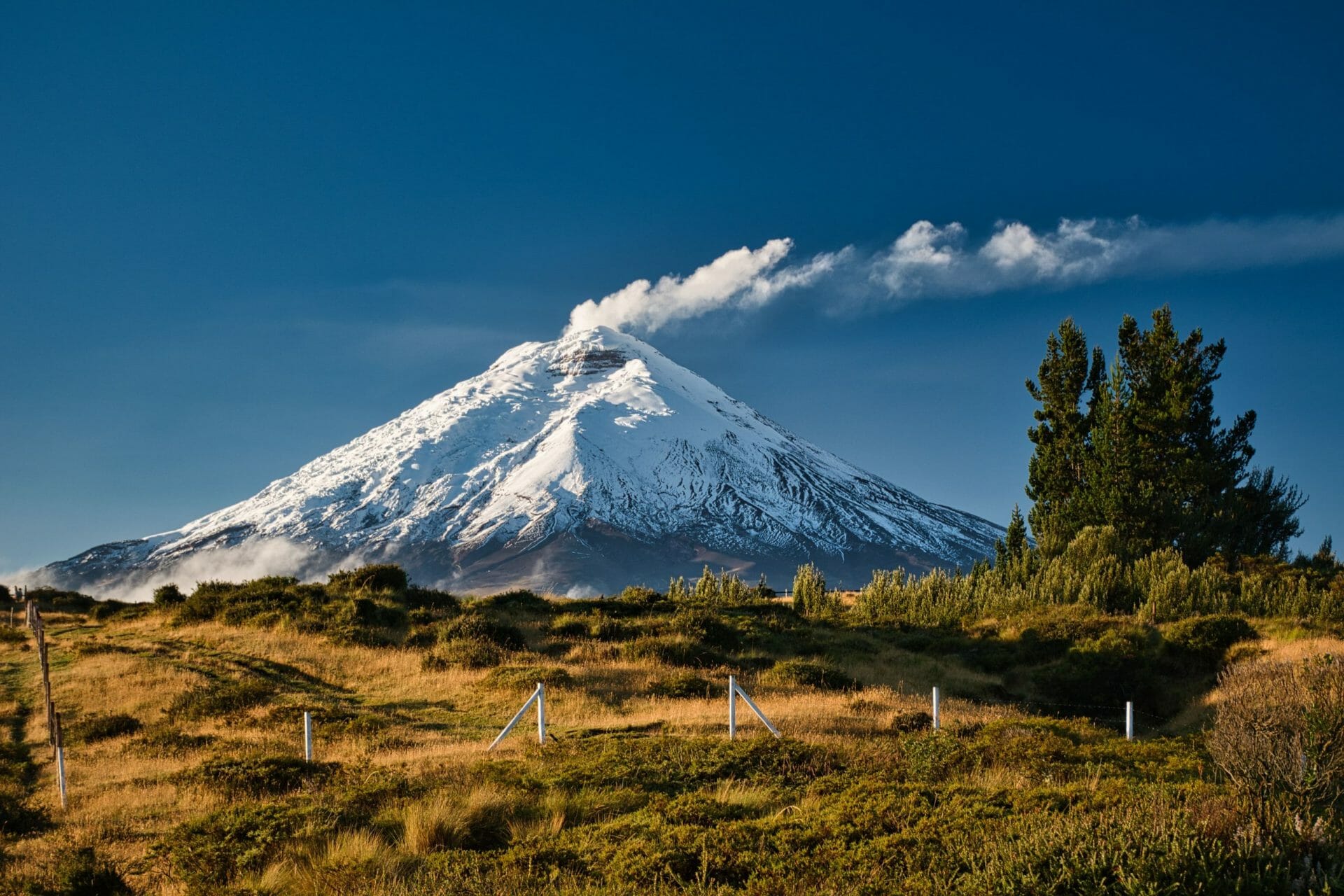 Andes Ecuador