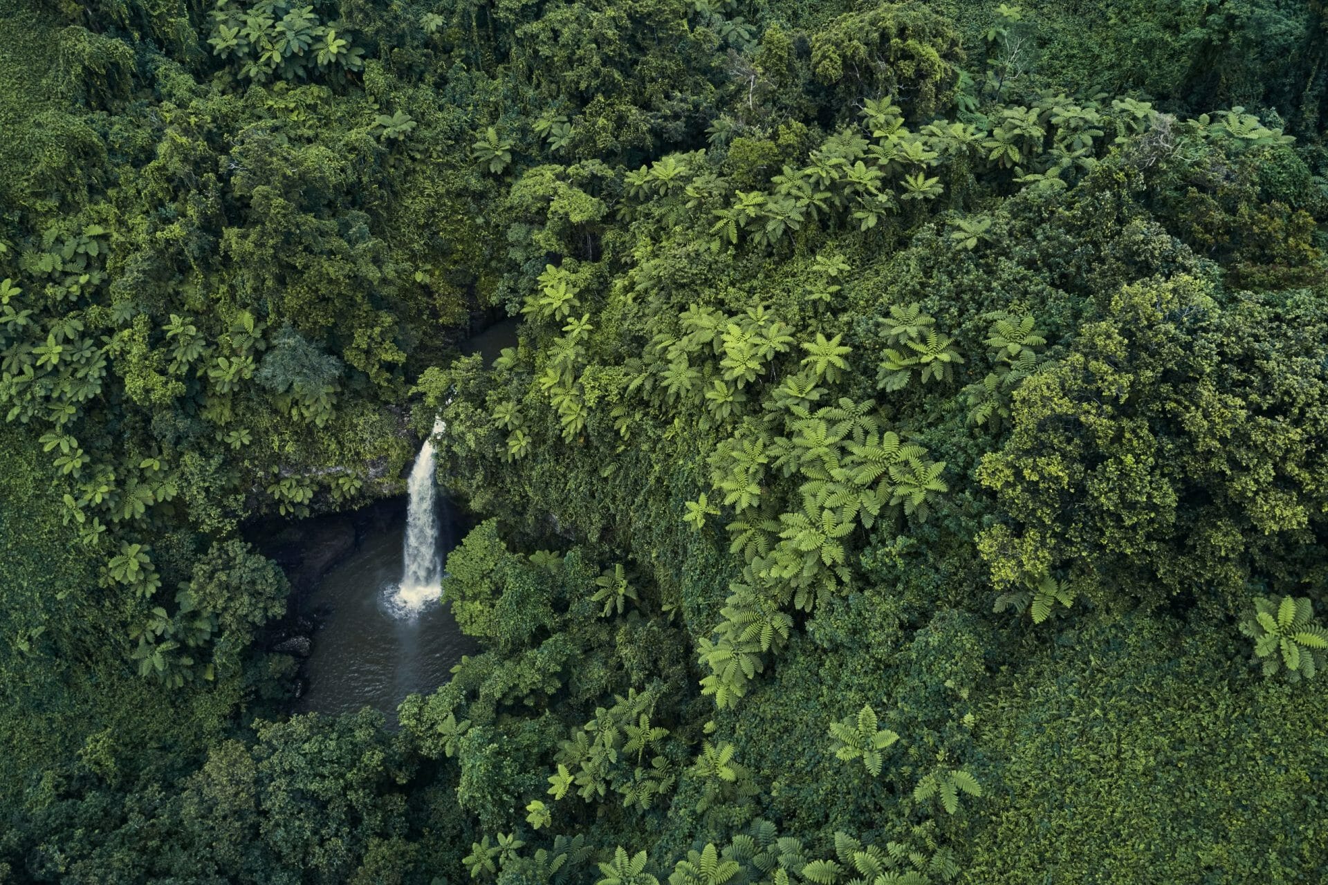 Cascada Tavoro Fiji