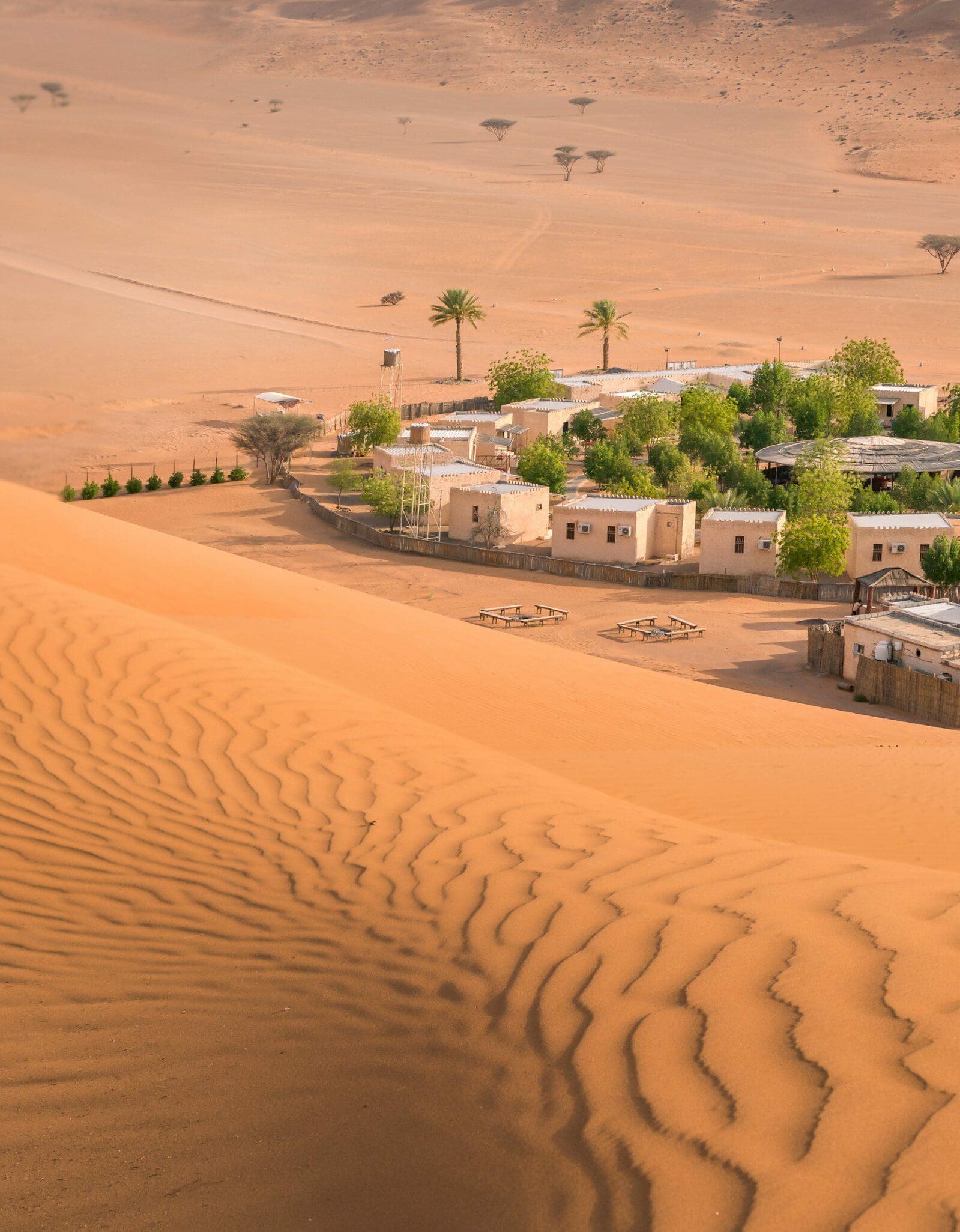 Small camp with trees in the middle of Arabian desert. Oasis in Wahiba Sands, Oman. Hot day in the dunes of Arabian peninsula