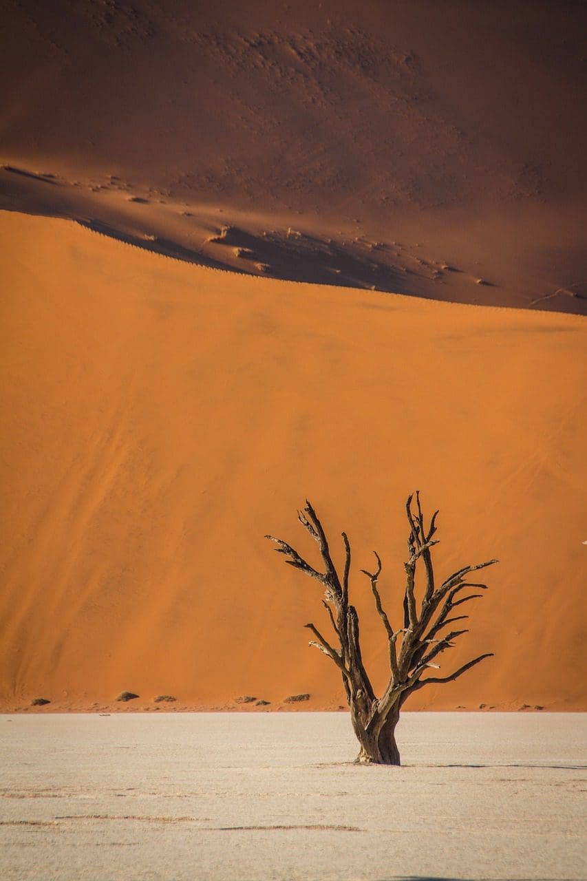 Sossusvlei Namibia