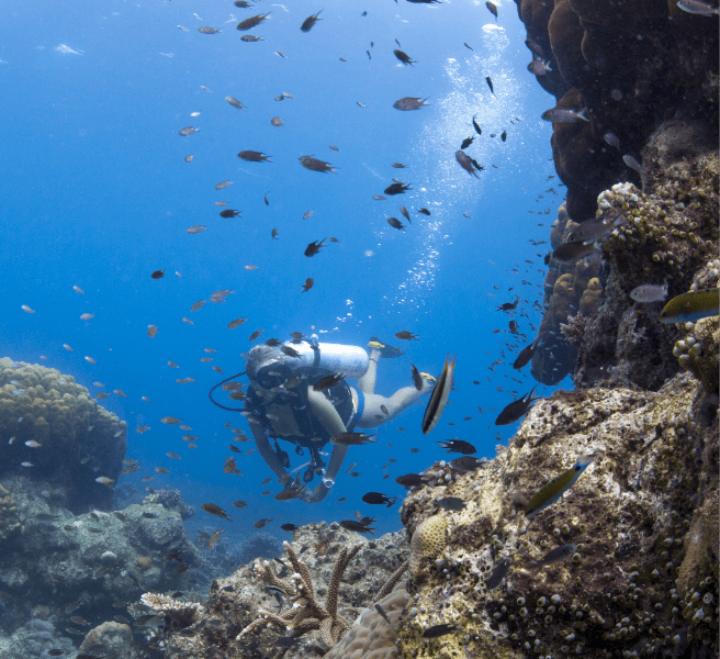 Buceo en Sulawesi Indonesia