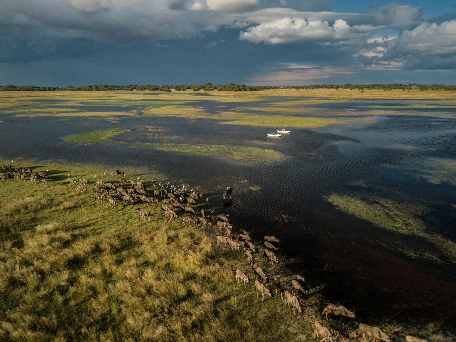 Liuwa migracion Time and Tide Zambia