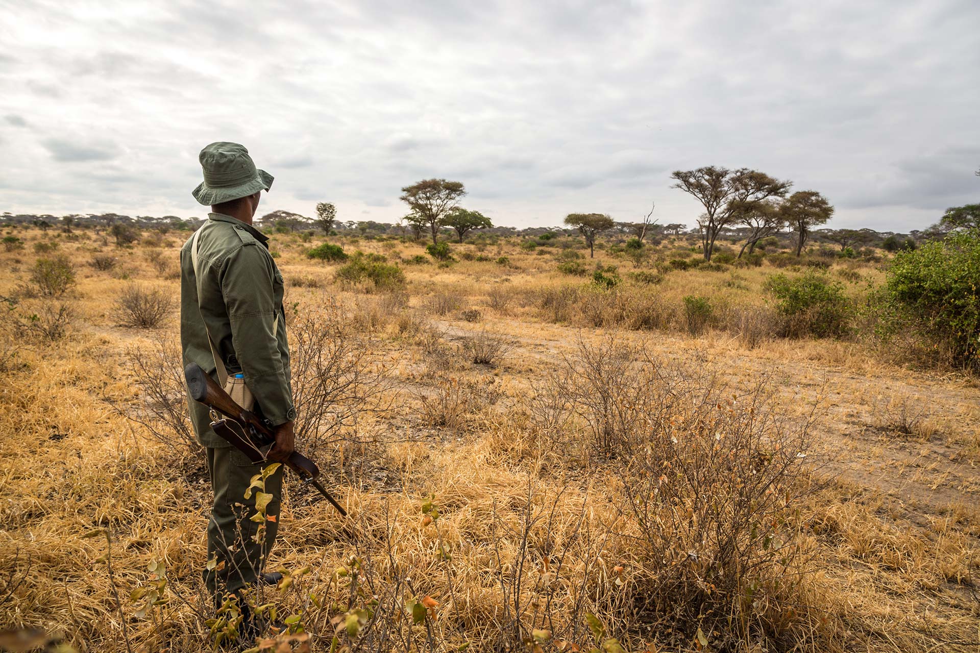 Ranger Ngorongoro