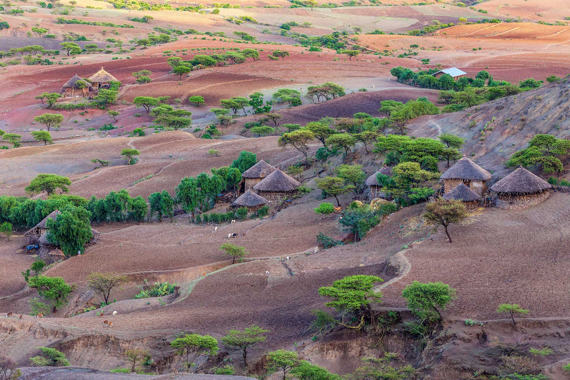 Vistas Gondar