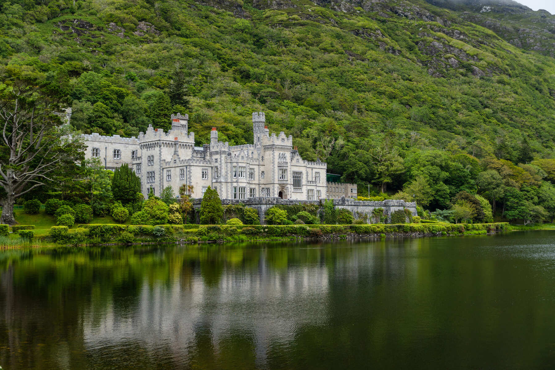 castle by a lake surrounded by forest