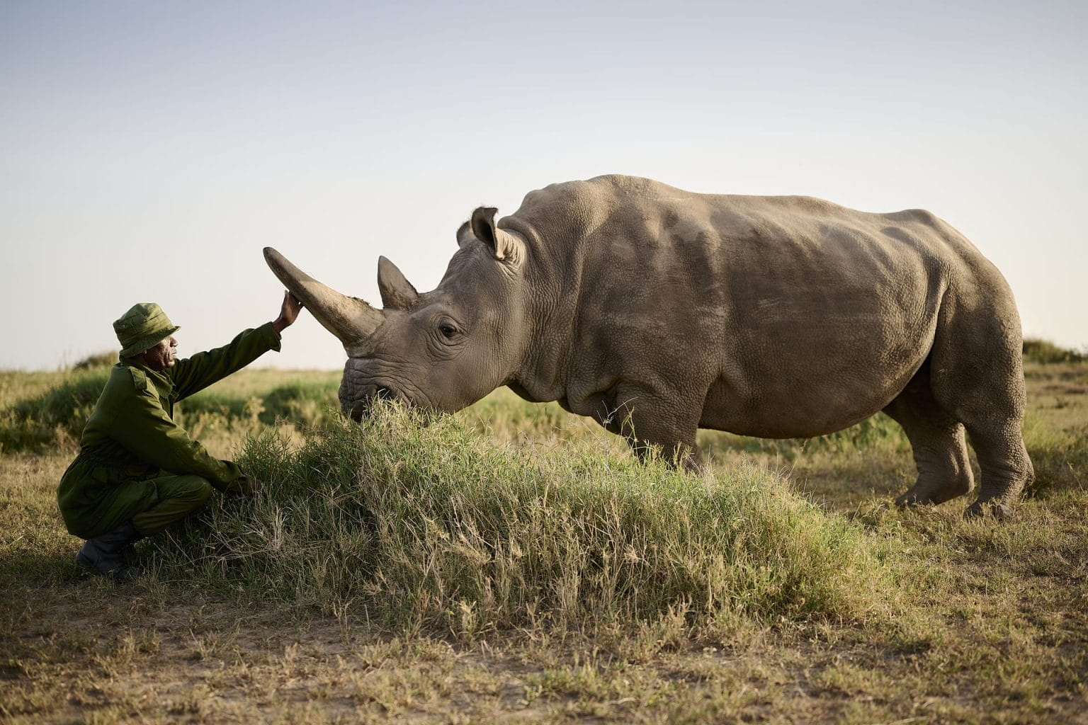 Proyecto conservación Ol Pejeta