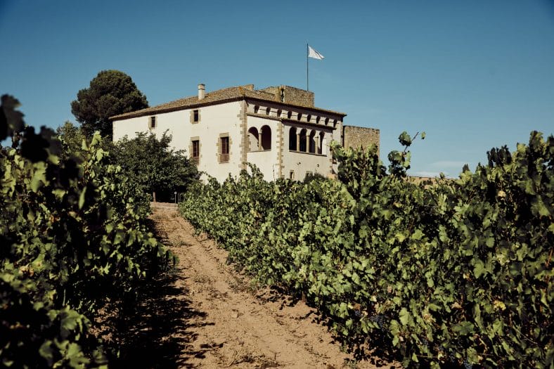 Gastronomía y bienestar Oller del Mas