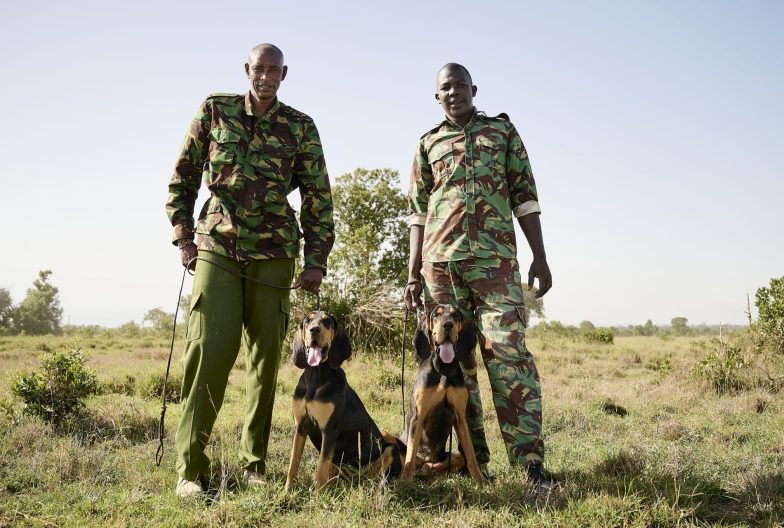 Rangers en Kenia