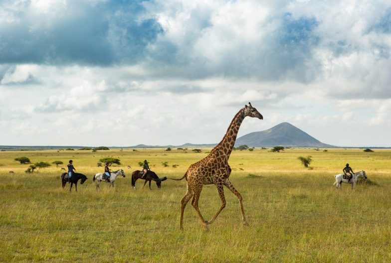 Safari a Caballo Kenia