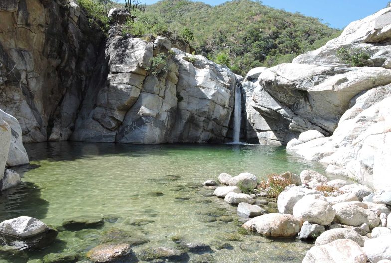 Sierra de la Laguna México