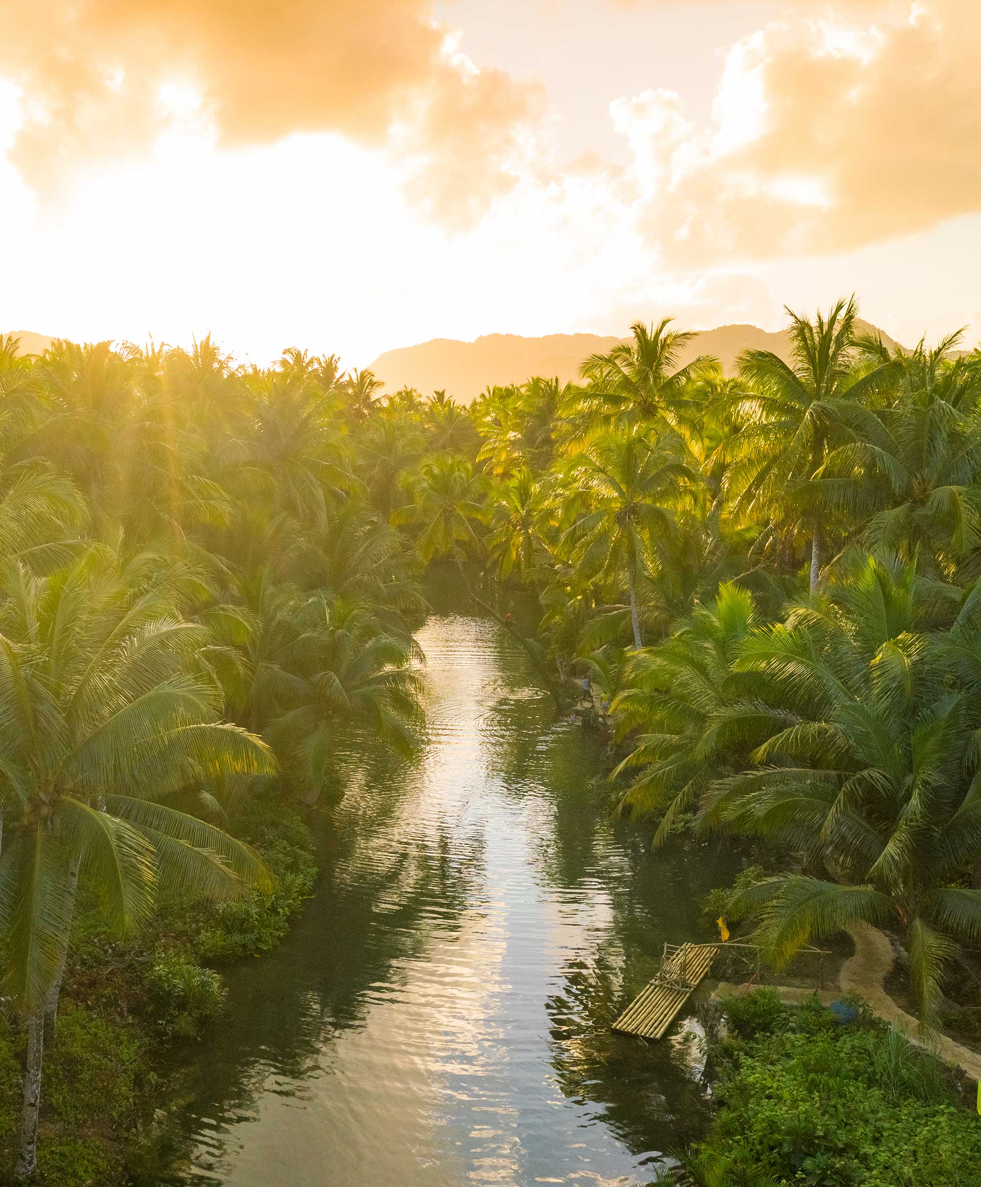 Amazonas Brasil