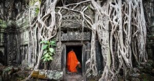 Camboya monje templo raices