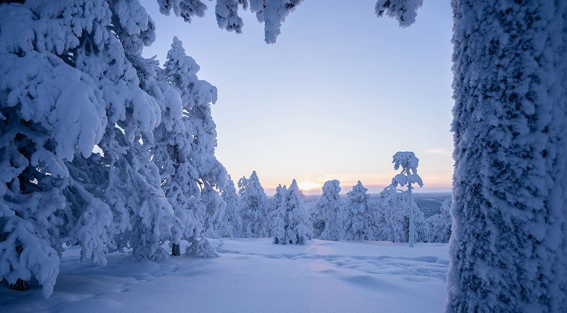 Octola Private Wilderness Laponia Finlandia