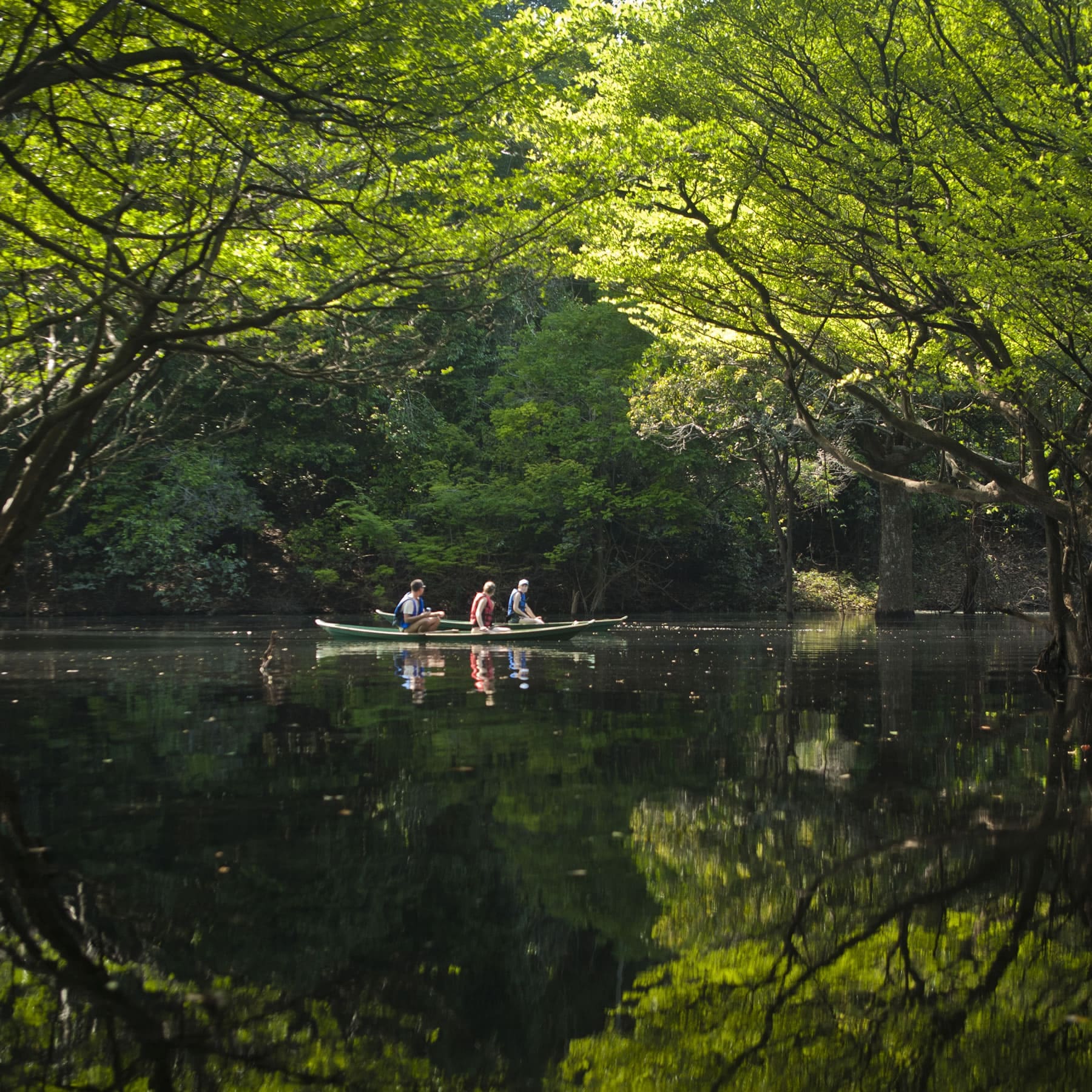 Anavilhanas Lodge kayak