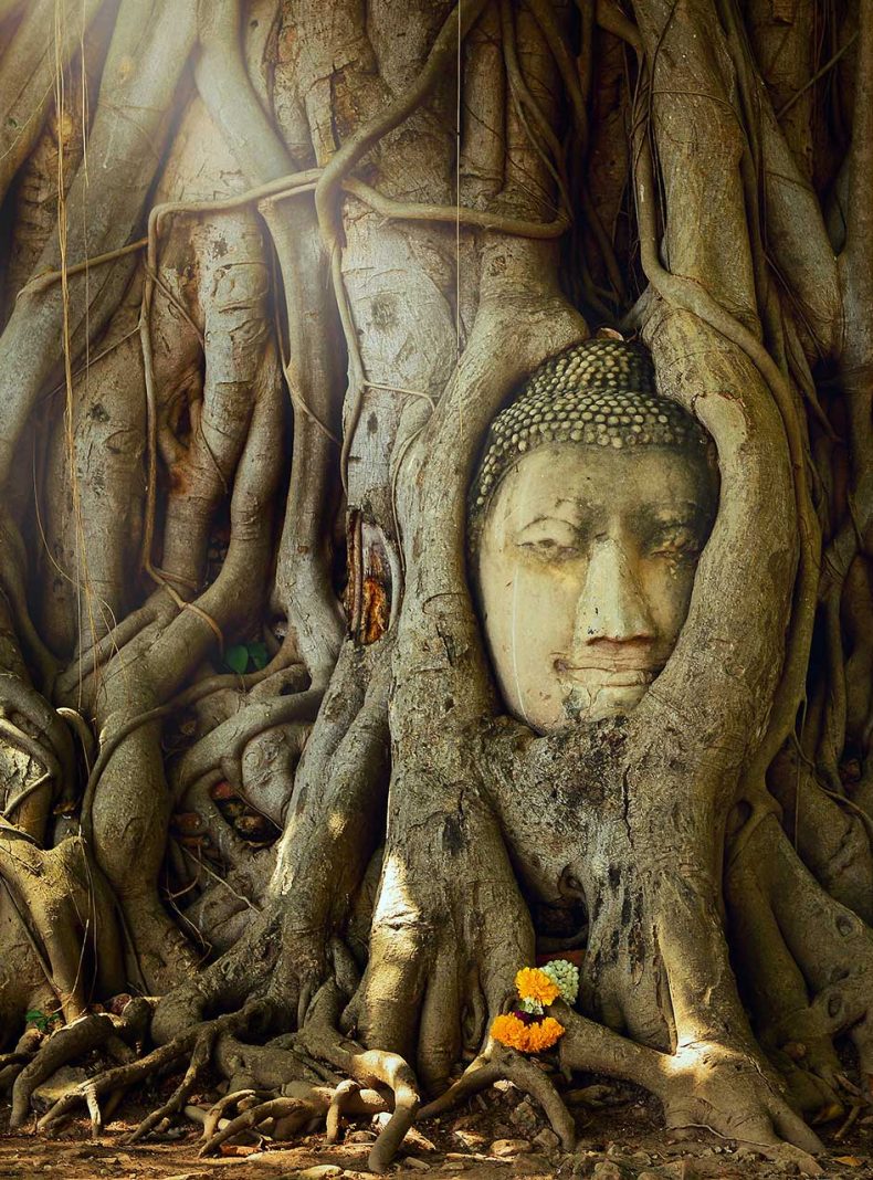 Tailandia Templo Ayutthaya