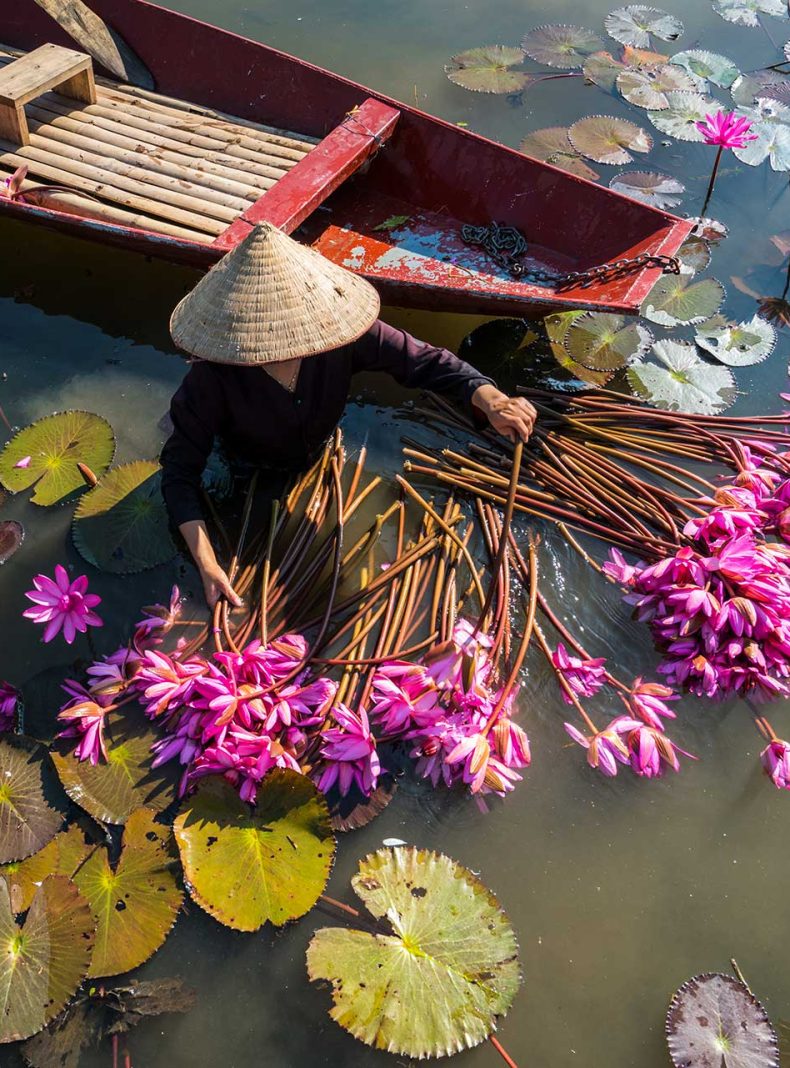 Vietnam flores pescadora